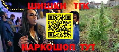 хмурый Бердск